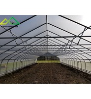Petites serres agricoles tunnelles équipées de structures en acier galvanisé et de matériaux de couverture anti-UV.