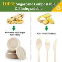 Plateau à gâteaux compostable pour four Assiettes en papier Ensemble 250PCS Assiette et ustensile jetables Vaisselle biodégradable pour la canne à sucre de fête