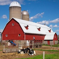 Écurie de chevaux, hangar de course, hangar à vaches, bâtiment agricole, écuries de bétail, abri pour chèvres, structures en acier léger, hangar d'usine agricole