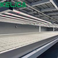 Serre en plastique ABS Bac en plastique Ebb and Flow SYSTÈME VERTICAL Banc roulant hydroponique Tables