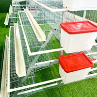 Cages d'élevage pour poules pondeuses, équipement d'élevage avicole
