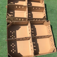 Boîtes de transport en carton ondulé à double paroi pour poussins vivants d'un jour, fabriquées en usine
