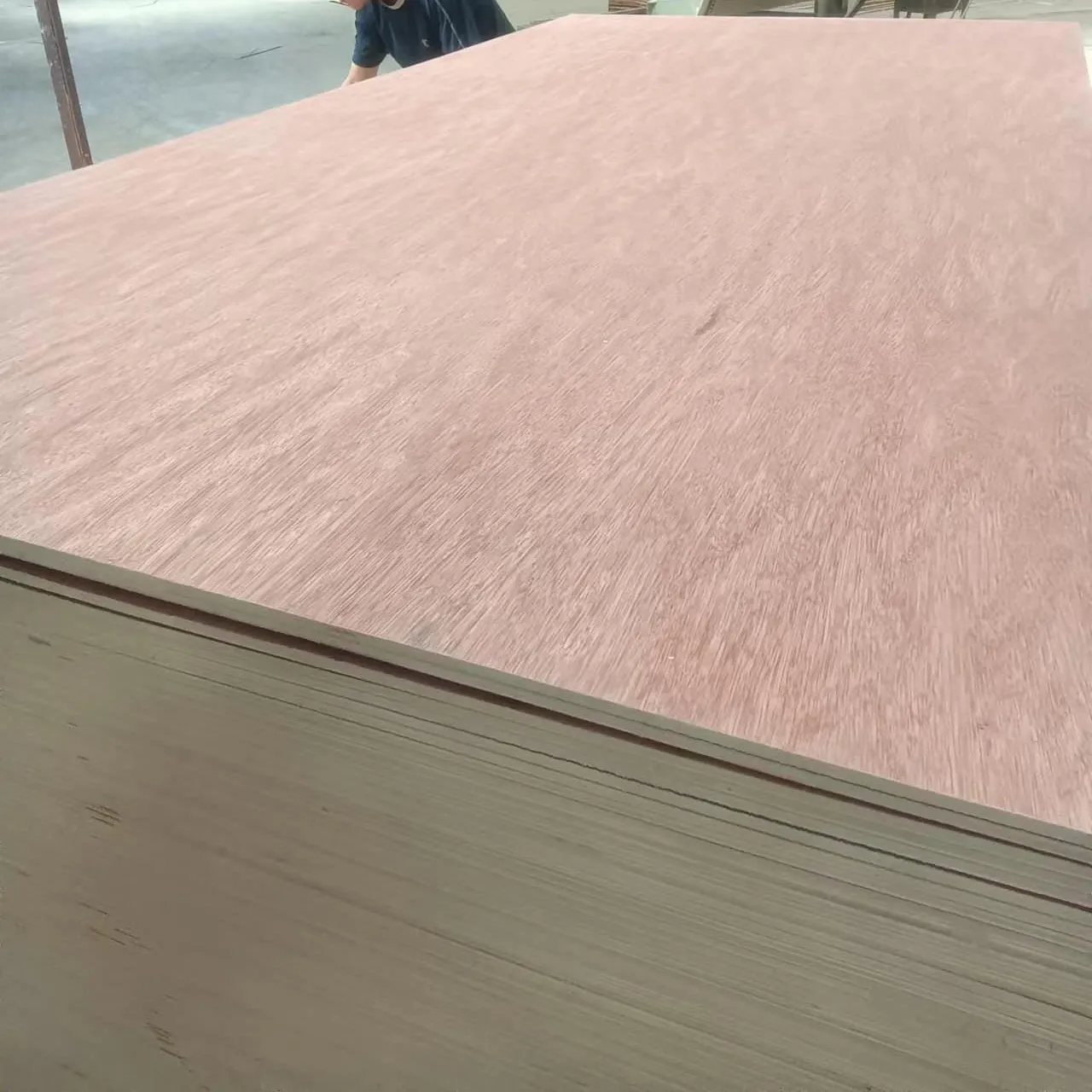 Best price packing grade 1220*2440mm plywood 3/5/6/8/9/12/15/18 mm commercial plywood