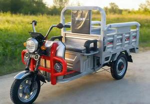 Factory Direct 750W 48V 20Ah Off Road for Adults - Product Image 4