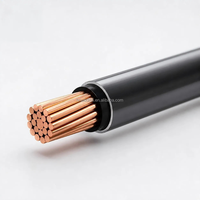 Fil de cuivre toronné nu isolé PVC 600V à faible résistance et haute intensité pour projets d'infrastructure, alimentation symétrique