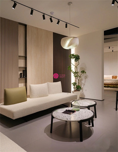 Ycheng Vẻ Đẹp Bán Buôn Ý Tối Giản Sừng Sofa Hai Mặt Ngồi Đơn Giản Phòng Khách Sofa Với Giá Rẻ Giá - Product Image 3