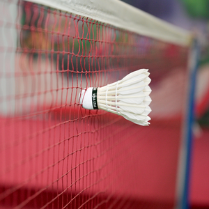 Pluma de Ganso para Volantes de Torneo, Alta Estabilidad de Vuelo, para Competición en Interiores - Product Image 5