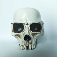 Pot Bunga Sukulen Bentuk Kepala Gotik dari Resin, Pot Bunga Tulang untuk Dekorasi Taman dan Rumah di Halloween, Ornamen Meja Dalam Ruangan