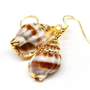 Coquille naturelle KI Haihe, style haut de gamme, décoration photo blanche, rétro - Product Image 4