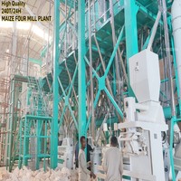 Moulin à maïs entièrement automatique 240T en acier inoxydable 304 à haute efficacité avec moteur et roulement pour le marché éthiopien