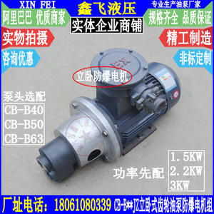 ปั๊มน้ำมันเกียร์แนวตั้งและแนวนอน B63JZ CB-B40JZ B50JZ พร้อม YBX3-100L1-4มอเตอร์ป้องกันการระเบิด - Product Image 1