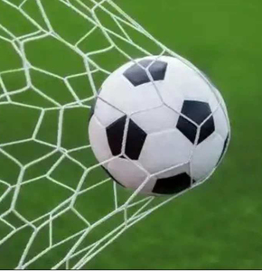 Thắt nút đen vuông Polyester sân bóng đá sân bóng đá chu vi mạng lưới an toàn tùy chỉnh dịch vụ xử lý cắt - Product Image 1