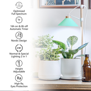 J & C Minigarden Đế Gỗ Điều Chỉnh Độ Cao 9W Bộ Dụng Cụ Trồng Xương Rồng Bộ Dụng Cụ Cho Người Mới Bắt Đầu Vườn Thảo Mộc Thân Thiện Với Môi Trường - Product Image 2