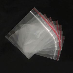 Sac d'emballage transparent personnalisé 22x14cm en plastique PE givré, impression par sublimation/sérigraphie, sac cadeau promotionnel, impression d'étiquette - Product Image 4