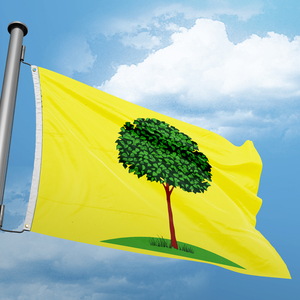 Banner publicitario de poliéster personalizado, Bandera de impresión Digital de <span class=keywords><strong>Lipetsk</strong></span>, banderas de Ciudad de Rusia de 3x5 pies, duraderas para decoración interior/exterior - Product Image 2