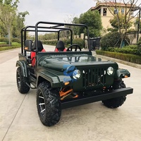 Voiturette de golf tout-terrain 150cc 200cc 250cc, mini-jeep automatique à essence 2/4 places, véhicule utilitaire électrique pour adultes, buggy