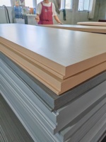 Porte en bois PVC WPC insonorisée et étanche sur mesure pour appartements et villas, surface finie en polymère