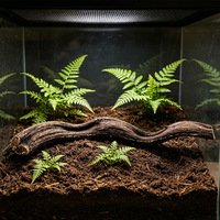 Végétation artificielle réaliste pour reptiles, branches de bois flotté simulées, décoration de terrarium pour dragon barbu, lézard, serpent, gecko