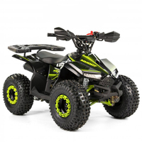 Minicuatrimoto Tao Motor 2024 Automática para Niños con Reversa y Transmisión por Cadena ATV 110cc Infantil