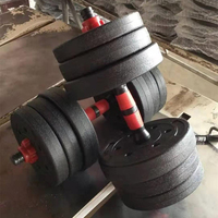 Jeu d'haltères OEM de 20kg à prix réduit Vente en gros Poids réglables Haltères en ciment Gym Haltérophilie