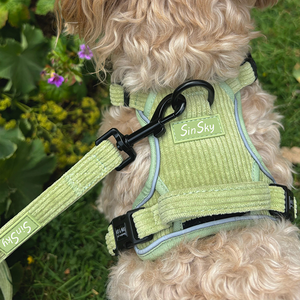 Arnés para Perro SinSky Cómodo y Personalizado, Conjunto de Arnés de Lujo en Corduroy, Arnés Reflectante Antitirones para Perro - Product Image 2