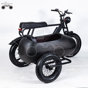 Side-car pour vélo électrique, pneus larges de 20 pouces, vélo électrique urbain, side-car de nouvelle conception, batterie au lithium amovible - Product Image 5