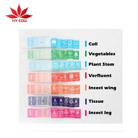 Hot Selling Teaching Resource As a Gift 35 Different Specimens Microscope Prepared Slides for Children Educational