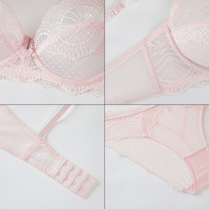 Conjunto de lencería de encaje para mujer, talla grande, estilo francés, elegante, con aros, sujetador y bragas, conjunto de 2 piezas, malla transparente, ropa interior femenina, OEM, ODM - Product Image 5