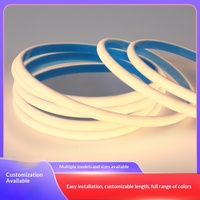 Lumières néon LED en silicone en forme de D, basse tension, 2835 12V/24V, étanches, flexibles, à intensité variable pour l'extérieur