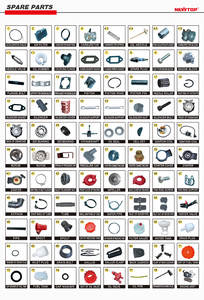 Mochila Pulverizadora de Gasolina Más Popular, Pulverizador de 2 Tiempos para Agricultura, <span class=keywords><strong>Solo</strong></span> 423 - Product Image 4