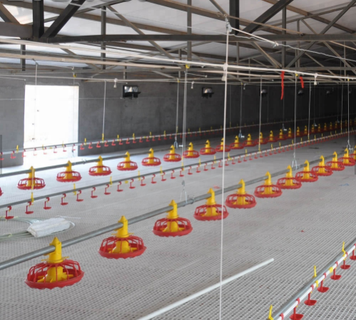 Poultry Farming Automatic Chicken Feeding Pan System Broiler Breeder Feeding Line