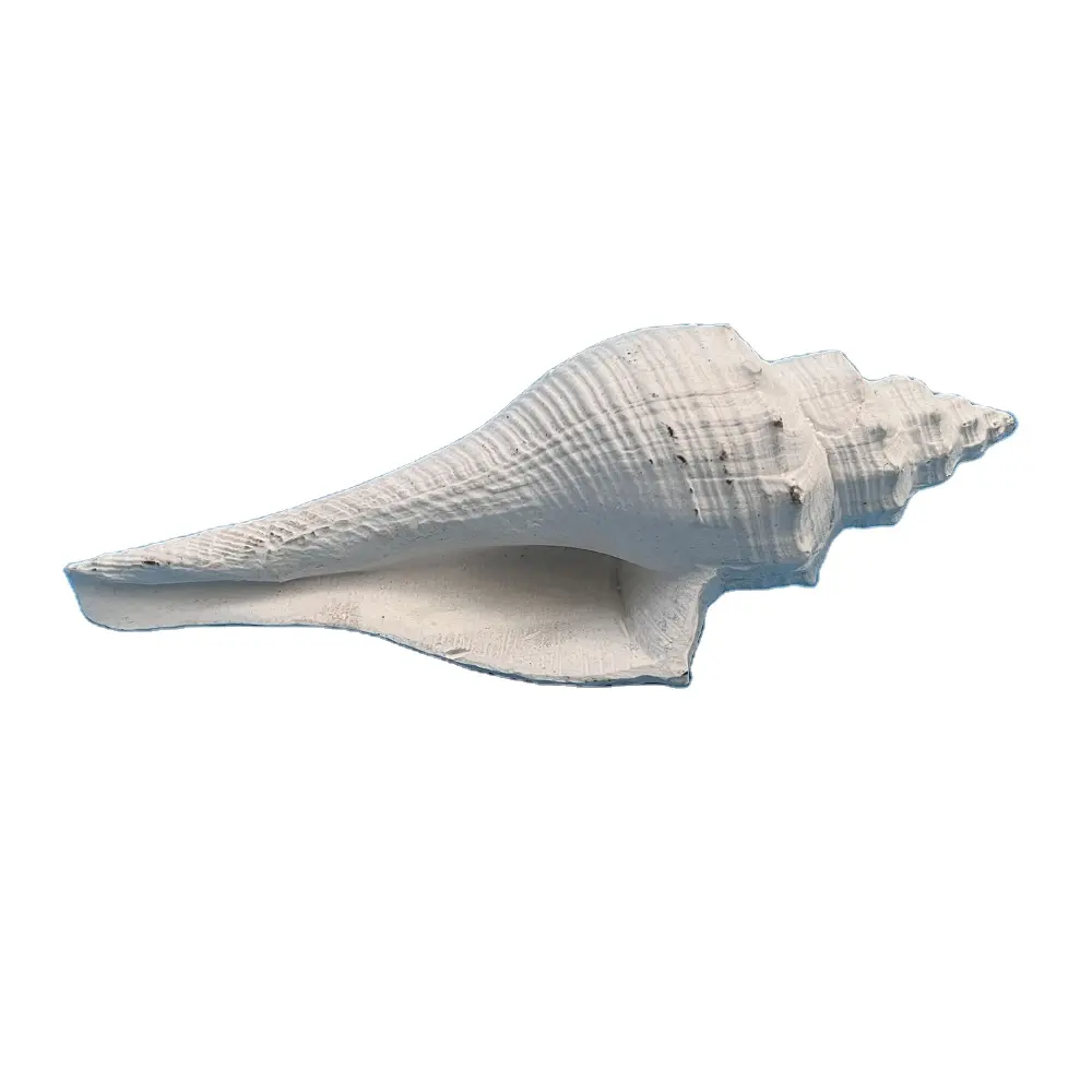 조각 공예 홈 장식 수공예 조개 장식 크리 에이 티브 화이트 샤먼 포트 동물 인형 해양 인공 수지