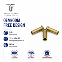 Rivets semi-tubulaires à tête plate en fer sur mesure pour supports de boîtiers de moteurs, production en volume, outillage personnalisé et approvisionnement en gros, TianFang