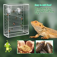 Boîte d'alimentation transparente en acrylique pour lézards et caméléons, boîte d'alimentation pour reptiles, boîte à nourriture pour insectes à fixer au mur avec ventouses