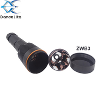 Lampe torche LED UV à ondes courtes puissante OEM 250-260 nm, lampe à lumière UVC profonde pour la détection des minéraux (filtre ZWB3)