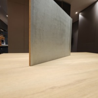 Panneau MDF moderne du fabricant avec placage en bois naturel Feuille de panneau MDF brut standard E0