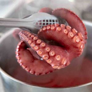 Tako entero, pulpo hervido congelado, grado Sashimi, pulpo, mariscos, origen de Singapur, pulpo procesado, suministro de alimentos a granel - Product Image 6