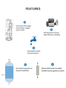 <span class=keywords><strong>Destructor</strong></span> de ozono integrado 10g más generador de agua de ozono para mantener el ganado libre de contaminación - Product Image 4