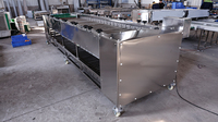 Automatische roltype fruit-, citroen-, aardappel- en zoete aardappel sorteermachine, wortelsorteermachine