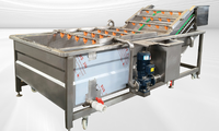 Vind Vergelijkbaar Icoon Gecertificeerd Hete Verkoop Commerciële Bubbel Groente Reinigingsmachine/Wastank Fruit/Fruit Wassen