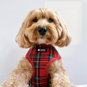 Harness Vest Anjing Desain <span class=keywords><strong>Tartan</strong></span> Skotlandia Gaya Noble, Kalung Anjing Custom Personalisasi, Tali Anjing, Aksesoris Hewan Peliharaan Premium Laris Manis - Product Image 5