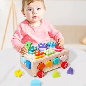 Caja de Inteligencia Montessori de Madera, Rompecabezas para Bebés con Bloques de Geometría y Cognitivos - Product Image 3