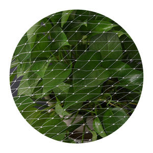 工場直販卸売 鳥よけネット モデルMGN 高強度切断耐性 厚手ナイロン糸 鳥害防止 繁殖保護 - Product Image 1