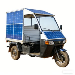 Tricycle utilitaire agricole ZHENGMIN 1000W 60V à trois roues, capacité de charge élevée 300-400kg. Qualité. Lo - Product Image 4