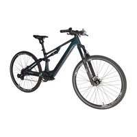Vélo de montagne électrique en fibre de carbone de 29 pouces M2 Allemagne DDP 250W Moteur central Suspension intégrale OEM V