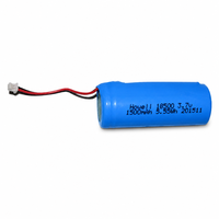 Batterie LiFePO4 à semi-conducteurs HWE 3.7V 1500mAh 18650 avec CE/RoHS/UN38.3/MSDS pour serrure de porte intelligente, éclairage solaire de jardin, lampe de poche