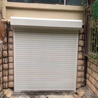 Portes à enroulement en aluminium sur mesure pour la maison, volets roulants de sécurité haute résistance, vente en gros
