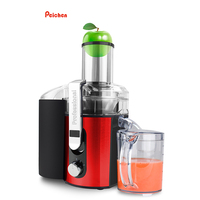 Grote Diameter 1000W Fruit En Groente Juicer