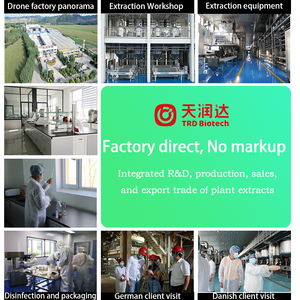 Extracto de Semillas de Albaricoque Amargo Orgánico al 98% en Polvo, Suministro de Fábrica |   Extracto de Planta Natural No Apto para Consumo Humano - Product Image 4