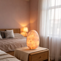 Lampe de table en albâtre naturel en forme d'œuf avec base en aluminium, lumière décorative LED chaude pour salon et chambre à coucher